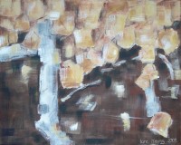 Falling into Place