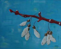 Out on a Limb