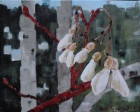 Winter Lingerers